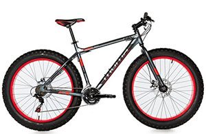 Avis velo fatbike moma